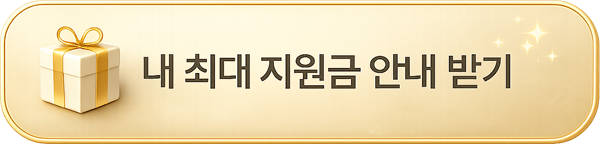내 최대 지원금 안내 받기 버튼 이미지